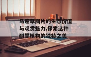 马莲草图片的生态价值与观赏魅力,探索这种耐旱植物的独特之美