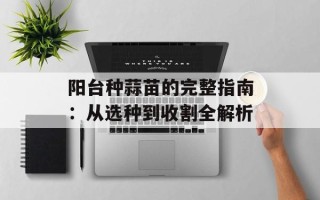 阳台种蒜苗的完整指南：从选种到收割全解析