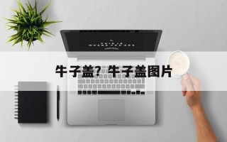 牛子盖？牛子盖图片