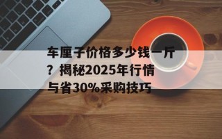 车厘子价格多少钱一斤？揭秘2025年行情与省30%采购技巧