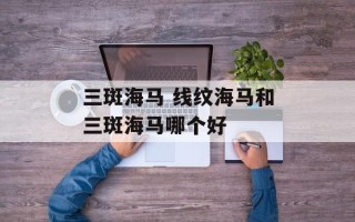 三斑海马 线纹海马和三斑海马哪个好