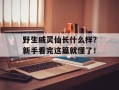 野生威灵仙长什么样？新手看完这篇就懂了！