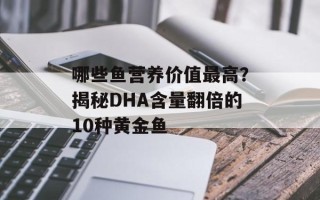 哪些鱼营养价值最高？揭秘DHA含量翻倍的10种黄金鱼