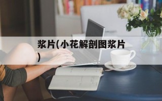 浆片(小花解剖图浆片)