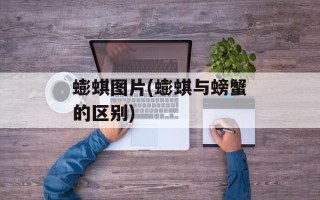 蟛蜞图片(蟛蜞与螃蟹的区别)