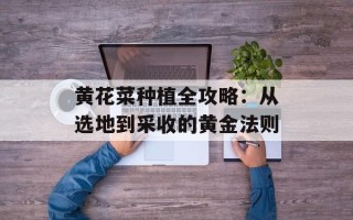 黄花菜种植全攻略：从选地到采收的黄金法则