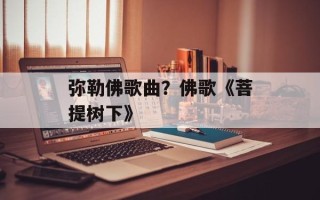 弥勒佛歌曲？佛歌《菩提树下》