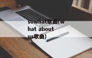 sowhat歌曲(what about us歌曲)
