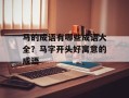 马的成语有哪些成语大全？马字开头好寓意的成语