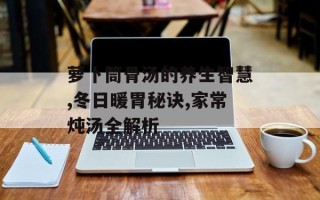 萝卜筒骨汤的养生智慧,冬日暖胃秘诀,家常炖汤全解析
