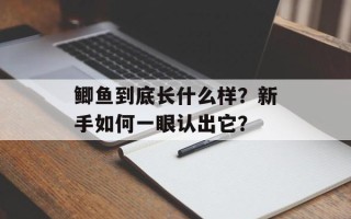 鲫鱼到底长什么样？新手如何一眼认出它？