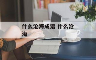 什么沧海成语 什么沧海