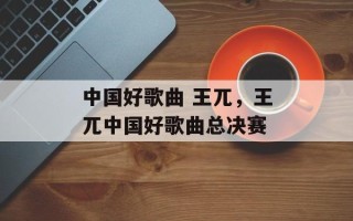 中国好歌曲 王兀，王兀中国好歌曲总决赛