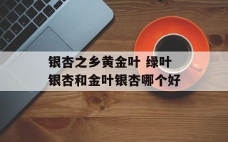银杏之乡黄金叶 绿叶银杏和金叶银杏哪个好