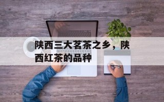 陕西三大茗茶之乡，陕西红茶的品种