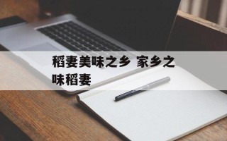 稻妻美味之乡 家乡之味稻妻
