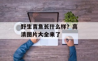 野生青鱼长什么样？高清图片大全来了