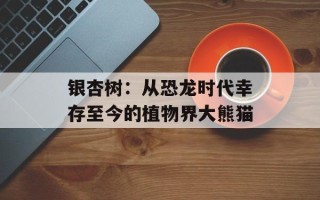 银杏树：从恐龙时代幸存至今的植物界大熊猫