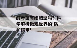 酵母菌有细胞壁吗？科学解析微观世界的'防护铠甲'