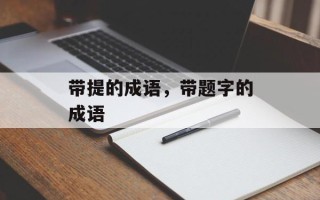 带提的成语，带题字的成语