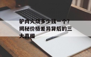 驴肉火烧多少钱一个？揭秘价格差异背后的三大真相