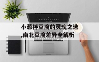 小葱拌豆腐的灵魂之选,南北豆腐差异全解析