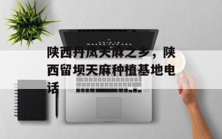 陕西丹凤天麻之乡，陕西留坝天麻种植基地电话