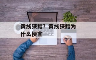 黄线狭鳕？黄线狭鳕为什么便宜