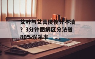 艾叶与艾蒿傻傻分不清？3分钟图解区分法省80%误采率