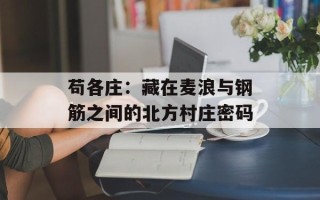 苟各庄：藏在麦浪与钢筋之间的北方村庄密码