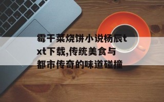 霉干菜烧饼小说杨辰txt下载,传统美食与都市传奇的味道碰撞