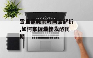 雪里蕻腌制时间全解析,如何掌握最佳发酵周期