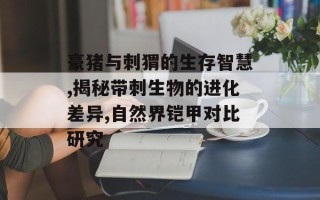 豪猪与刺猬的生存智慧,揭秘带刺生物的进化差异,自然界铠甲对比研究