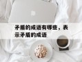 矛盾的成语有哪些，表示矛盾的成语