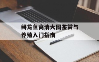 鲟龙鱼高清大图鉴赏与养殖入门指南