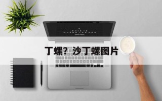 丁螺？沙丁螺图片