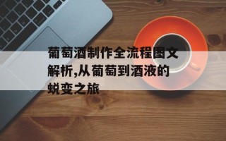 葡萄酒制作全流程图文解析,从葡萄到酒液的蜕变之旅