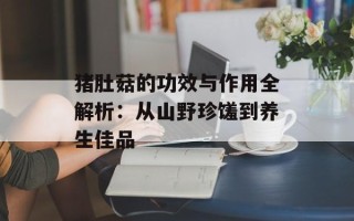 猪肚菇的功效与作用全解析：从山野珍馐到养生佳品