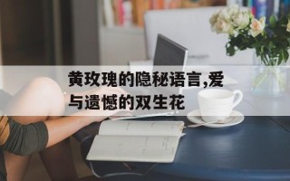 黄玫瑰的隐秘语言,爱与遗憾的双生花