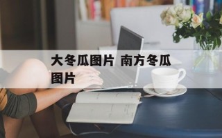 大冬瓜图片 南方冬瓜图片