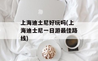 上海迪土尼好玩吗(上海迪士尼一日游最佳路线)