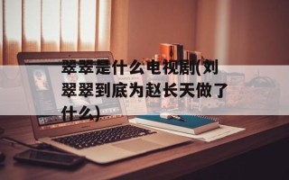 翠翠是什么电视剧(刘翠翠到底为赵长天做了什么)