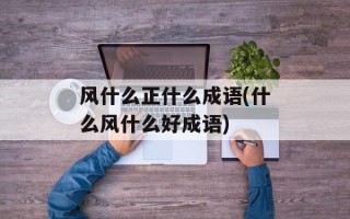 风什么正什么成语(什么风什么好成语)