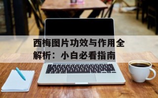 西梅图片功效与作用全解析：小白必看指南