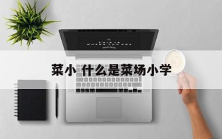 菜小 什么是菜场小学