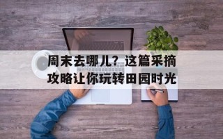 周末去哪儿？这篇采摘攻略让你玩转田园时光