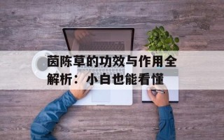 茵陈草的功效与作用全解析：小白也能看懂