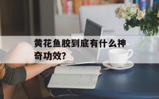 黄花鱼胶到底有什么神奇功效？