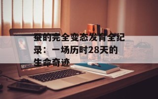 蚕的完全变态发育全纪录：一场历时28天的生命奇迹