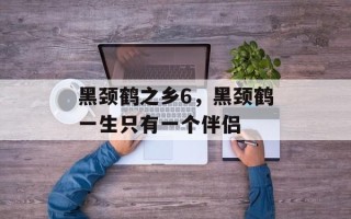 黑颈鹤之乡6，黑颈鹤一生只有一个伴侣